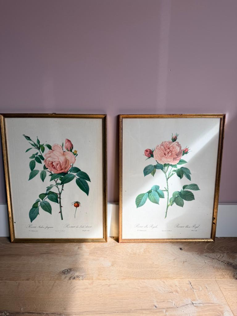 2x schilderij Roos brocante vintage, Ophalen