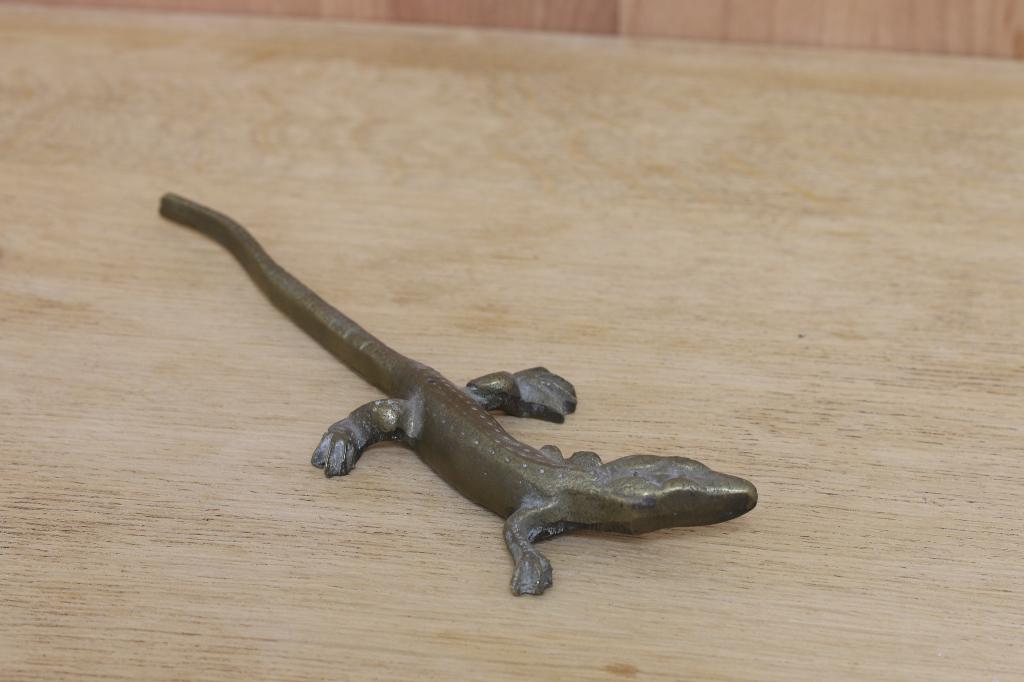 salamander brons, Ophalen of Verzenden, Brons