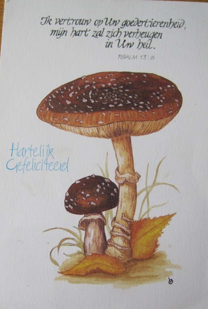 Hartelijk gefeliciteerd - paddestoelen - 1984, Verzenden, 1980 tot heden, Gelopen, Overige thema's