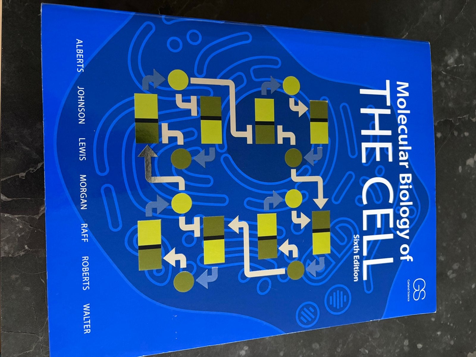 Molecular Biology of the Cell - Zesde Editie, Boeken, Studieboeken en Cursussen, Ophalen of Verzenden, Beta, Zo goed als nieuw