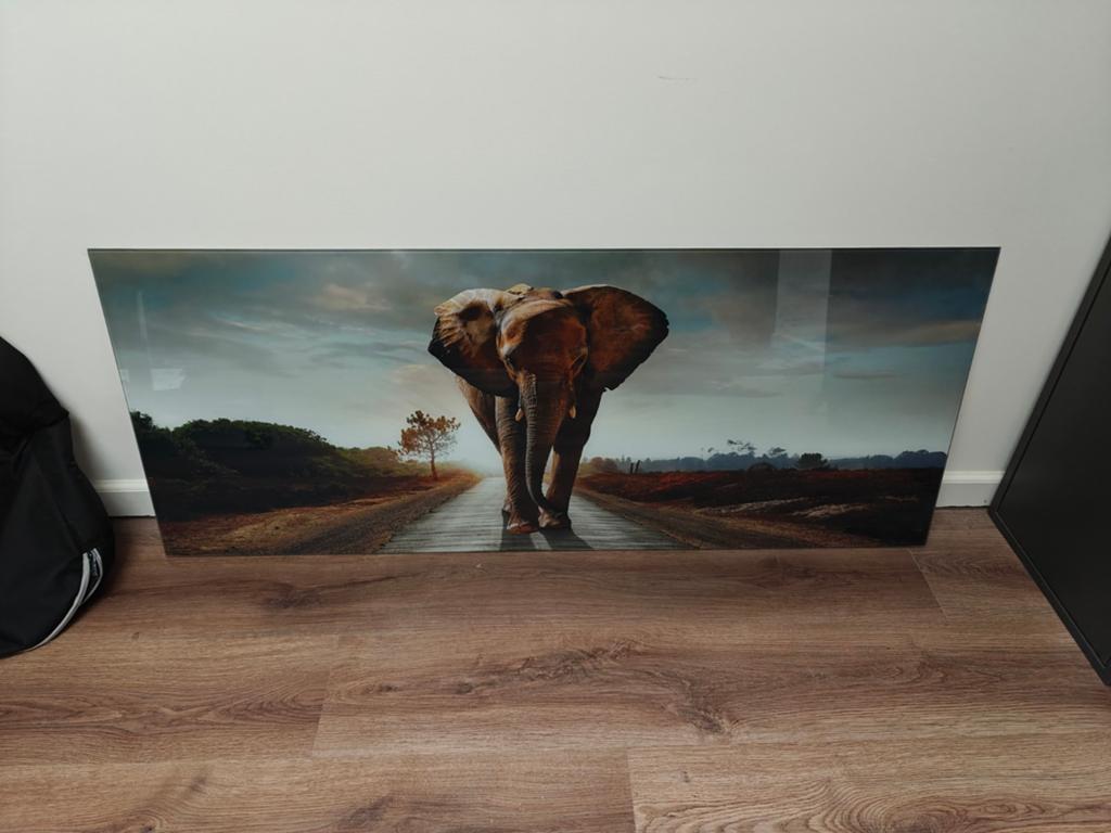 Schilderij olifant 125cm lang en 50cm hoog., Ophalen, Schilderij