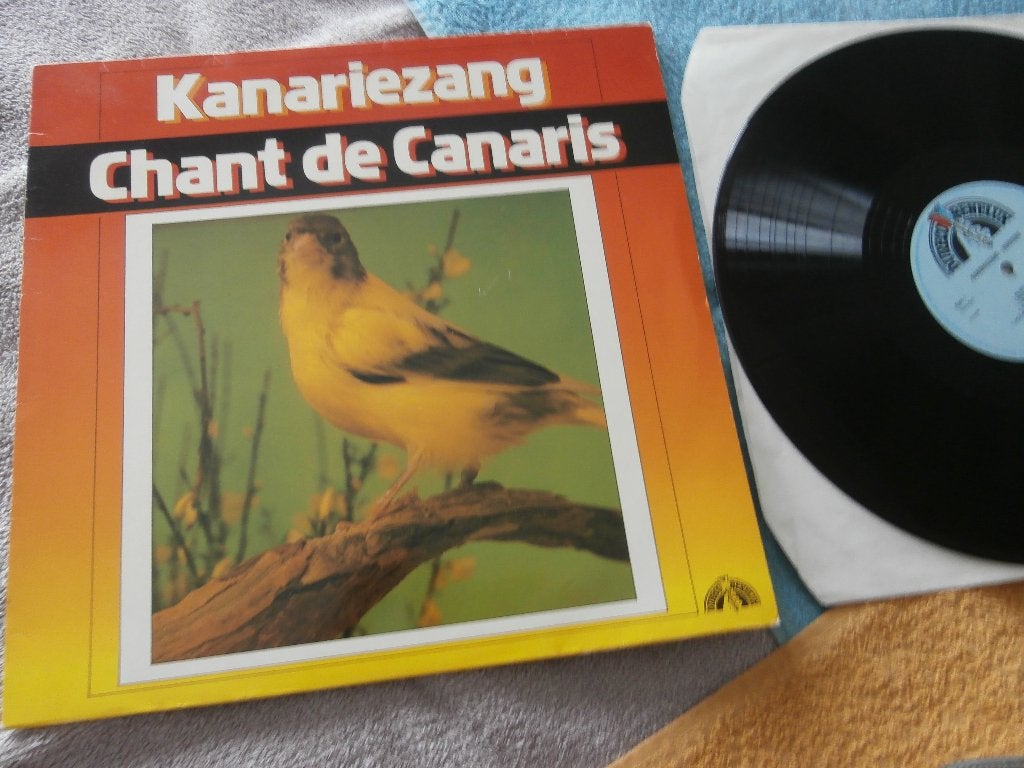 Kanariezang / Chant De Canaris - No Artist., LP, Ophalen of Verzenden, Zo goed als nieuw, 12 inch