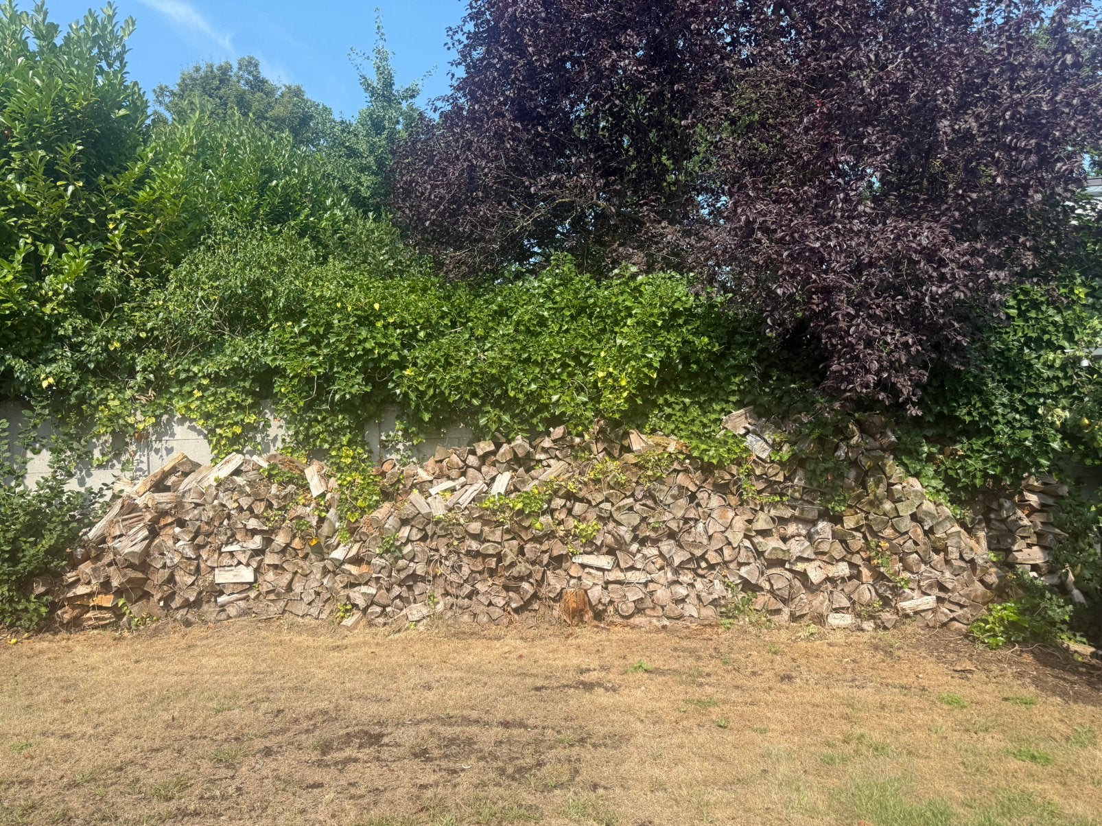 Oa vuren, Tuin en Terras, Haardhout, 3 tot 6 m³, Ophalen, Overige houtsoorten