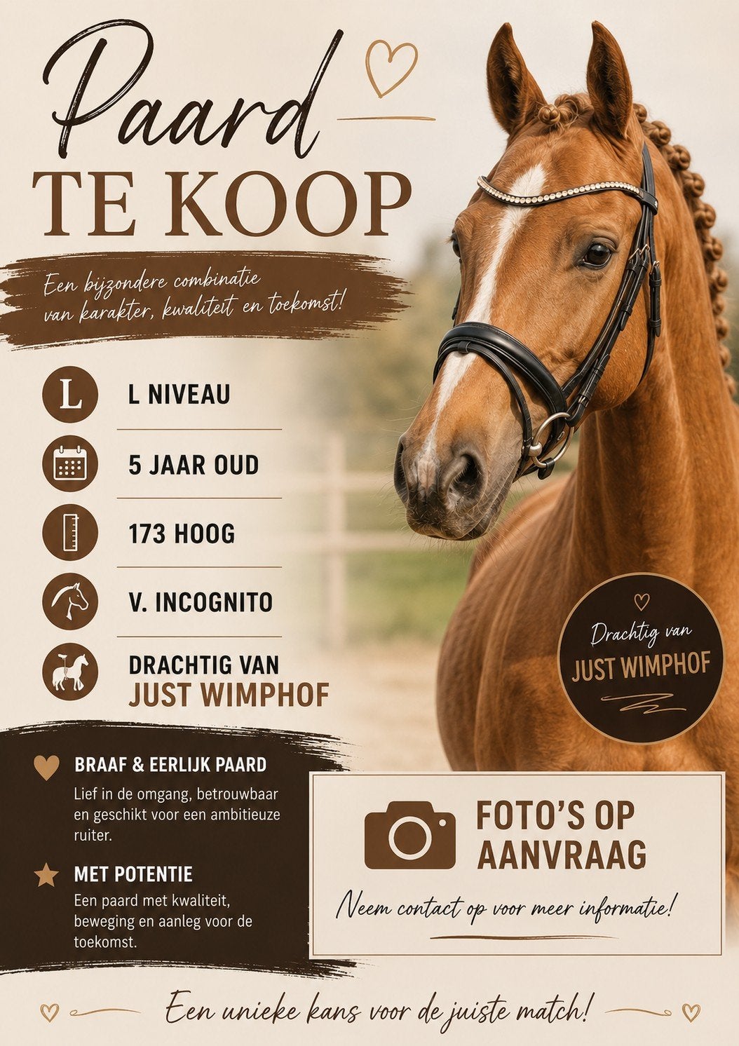 drachtige dressuur merrie te koop, Dieren en Toebehoren, Paarden, Merrie, L, 170 tot 175 cm, Dressuurpaard