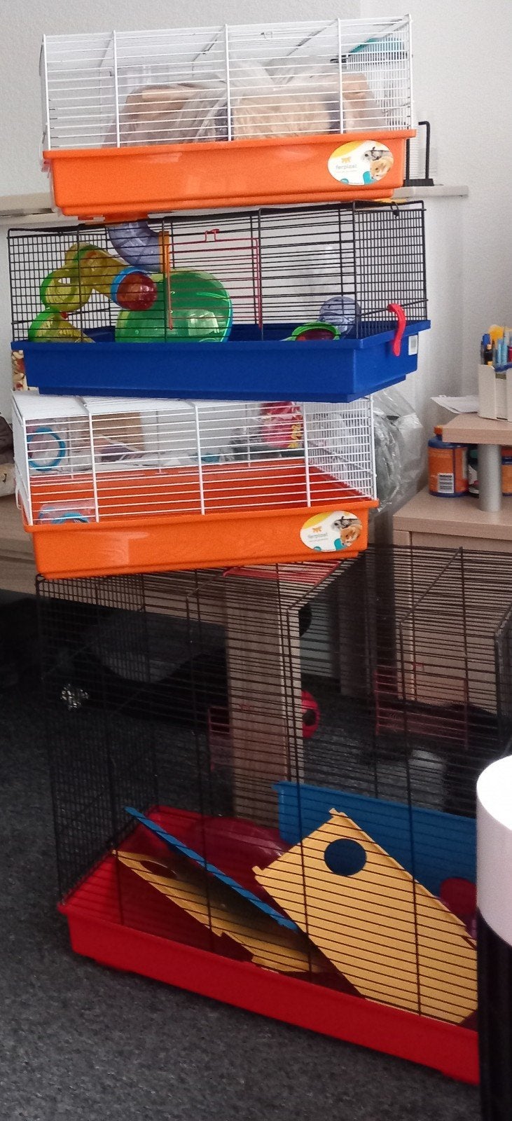 4 hamster kooien in nette staat, in een koop, Dieren en Toebehoren, Kooi, Minder dan 75 cm, Zo goed als nieuw, Hamster