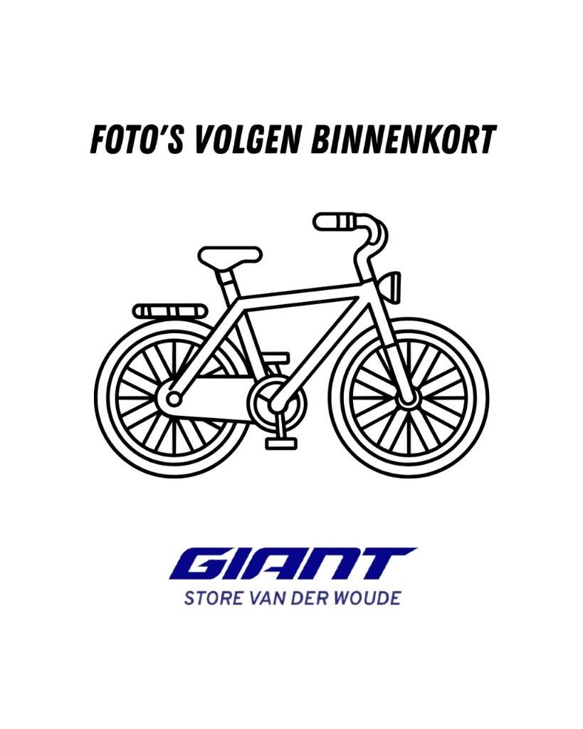 Van Raam Easy Rider niet elektrisch 8 versn. met V-Brake, Ophalen, Gebruikt, Van Raam Easy Rider, X