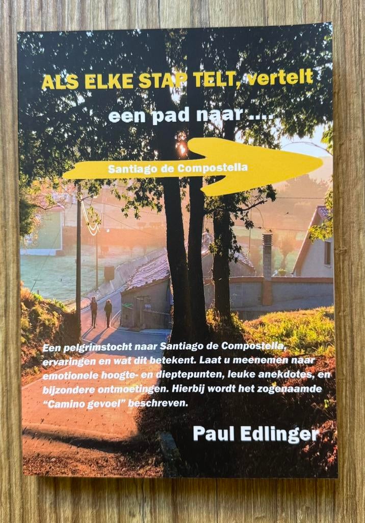 Boek Als elke stap telt camino pelgrimstocht Santiago, Boeken, Reisverhalen, Ophalen of Verzenden, Nieuw, Europa