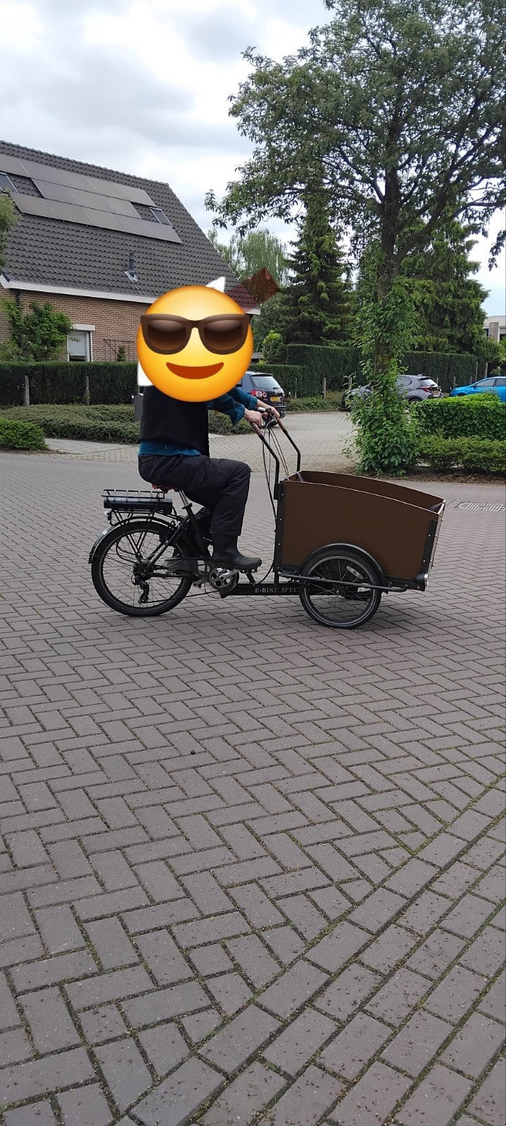 Elektrische bak fiets, Ophalen of Verzenden, Gebruikt