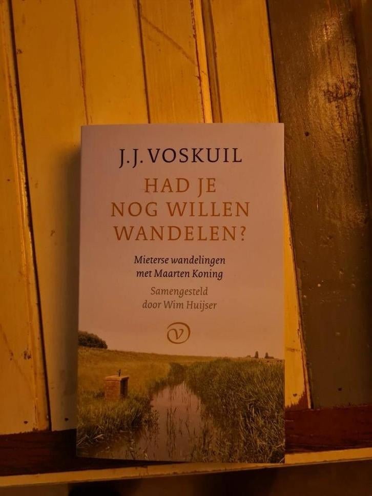 J.J. Voskuil - Had je nog willen wandelen?, Ophalen, Zo goed als nieuw, J.J. Voskuil, Nederland