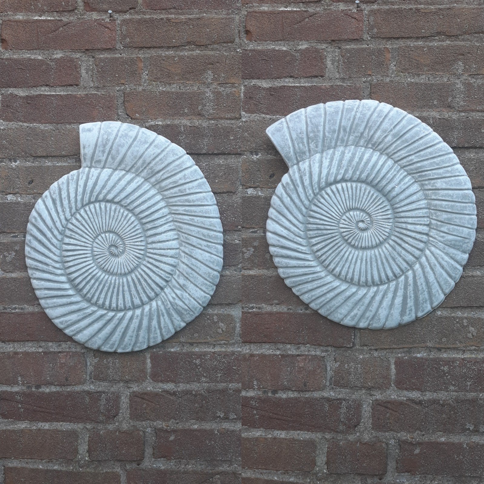2 Betonnen schelpen wanddecoraties beelden beton tuinbeelden, Ophalen