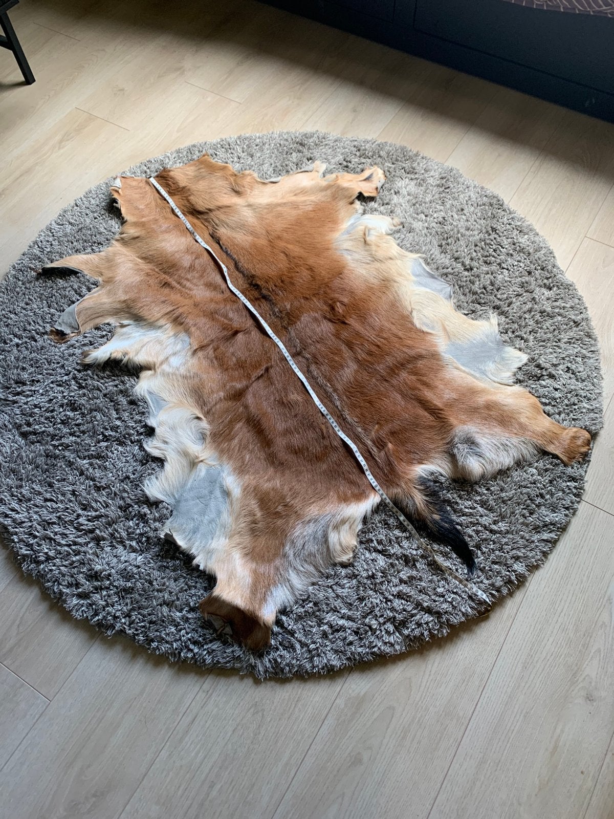 Geitenvacht, Ophalen of Verzenden, Zo goed als nieuw, Beeldje of Figuurtje