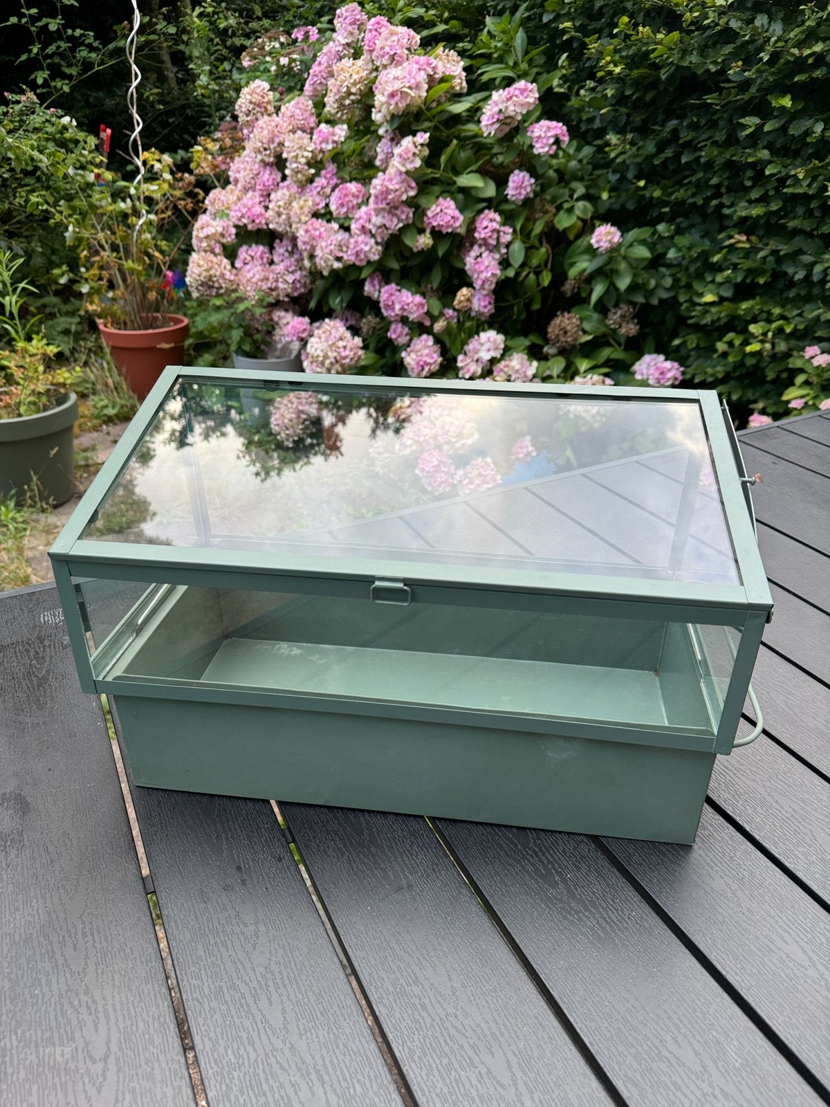 Hema kweekkas 45x27x23 groen metaal/glas, Ophalen, Kweekkas, Zo goed als nieuw, Glas