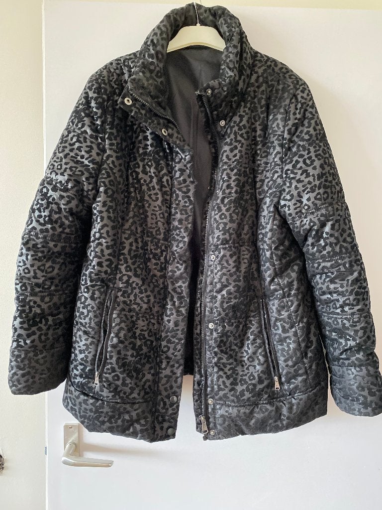 JASSEN, Kleding | Heren, Ophalen of Verzenden