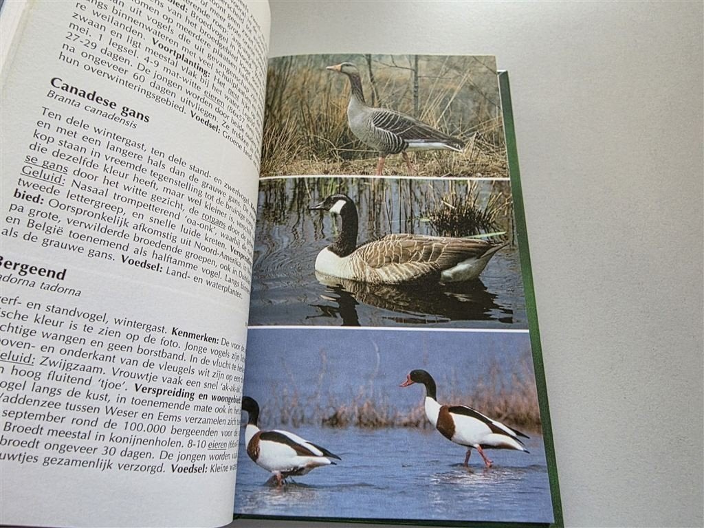 Complete Vogelgids — Kenmerken, Verspreiding & Voortplanting, Boeken, Ophalen of Verzenden, Zo goed als nieuw, Paarden of Pony's