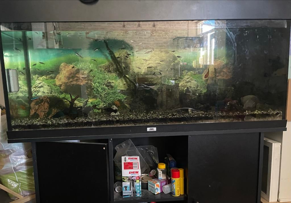 250l aquarium, Dieren en Toebehoren, Vissen | Aquaria en Toebehoren, Gebruikt, Gevuld zoetwateraquarium, Inclusief deksel, Inclusief slangen