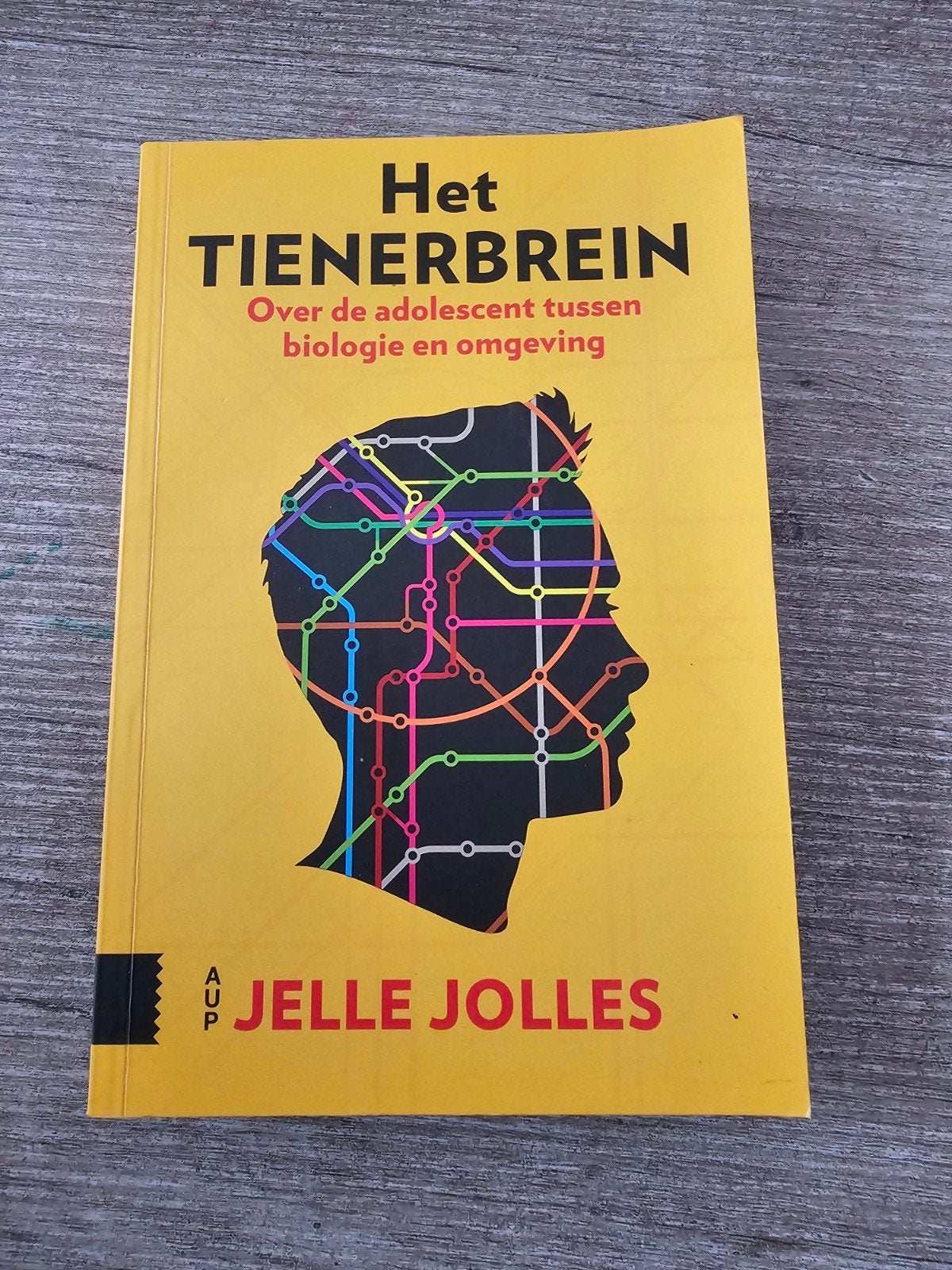 Het Tienerbrein Over de adolescent tussen biologie en omgev, Ophalen of Verzenden, Gelezen, Jelle Jolles