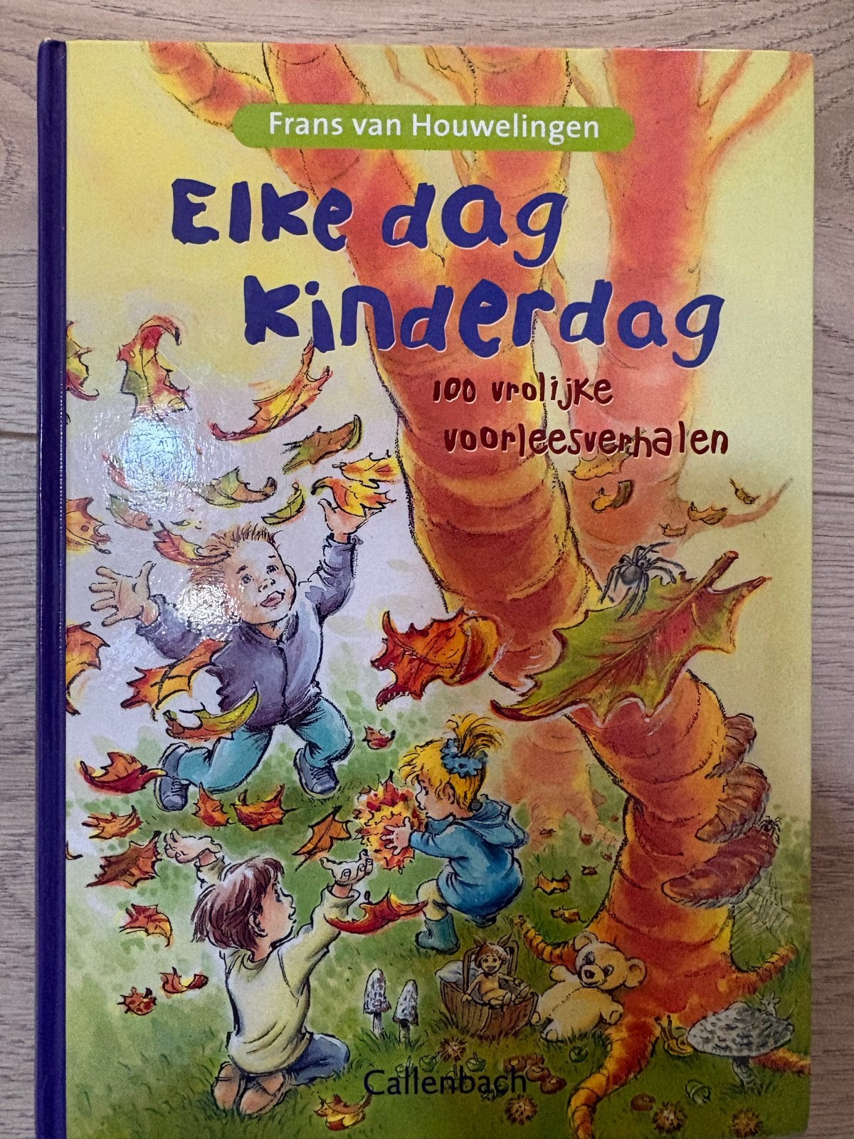 Elke dag kinderdag - 100 vrolijke voorleesverhalen, Jongen of Meisje, Ophalen of Verzenden, Zo goed als nieuw, Voorleesboek