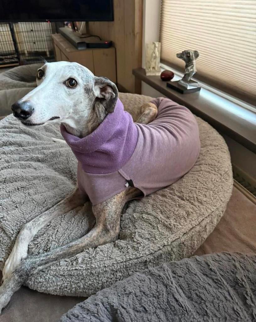 Jumper hondentrui trui hond okergeel of zandkleur fleece, Ophalen, Nieuw, Hondentrui