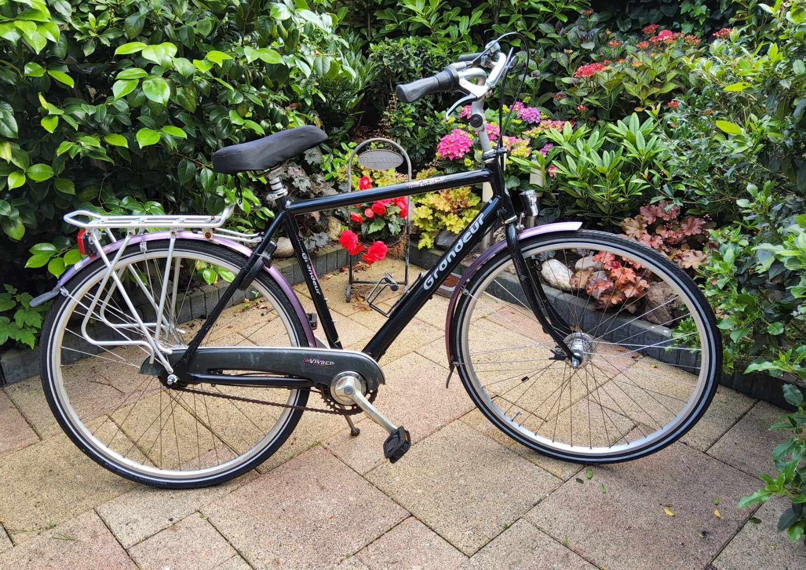 GRANDEUR VIVACE, Gebruikt, Meer dan 20 versnellingen, 53 tot 57 cm, Ophalen