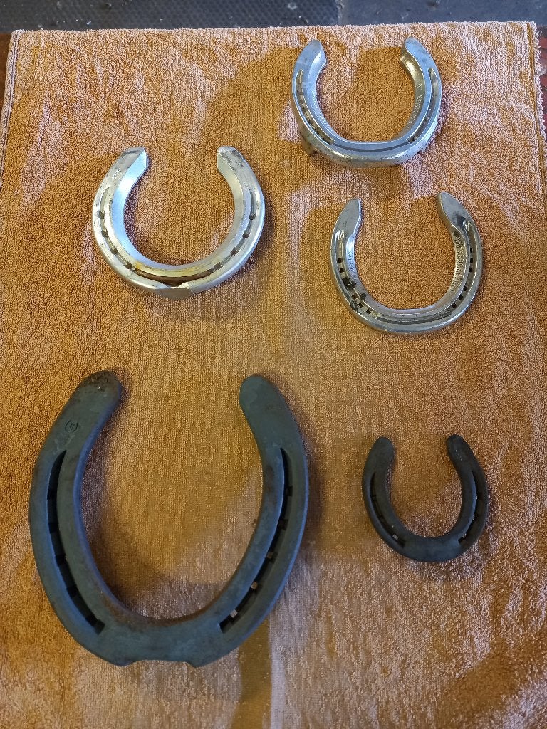 Te koop: hoefijzers, nieuw, ijzer en aluminium., Dieren en Toebehoren, Ophalen, Nieuw, Overige soorten