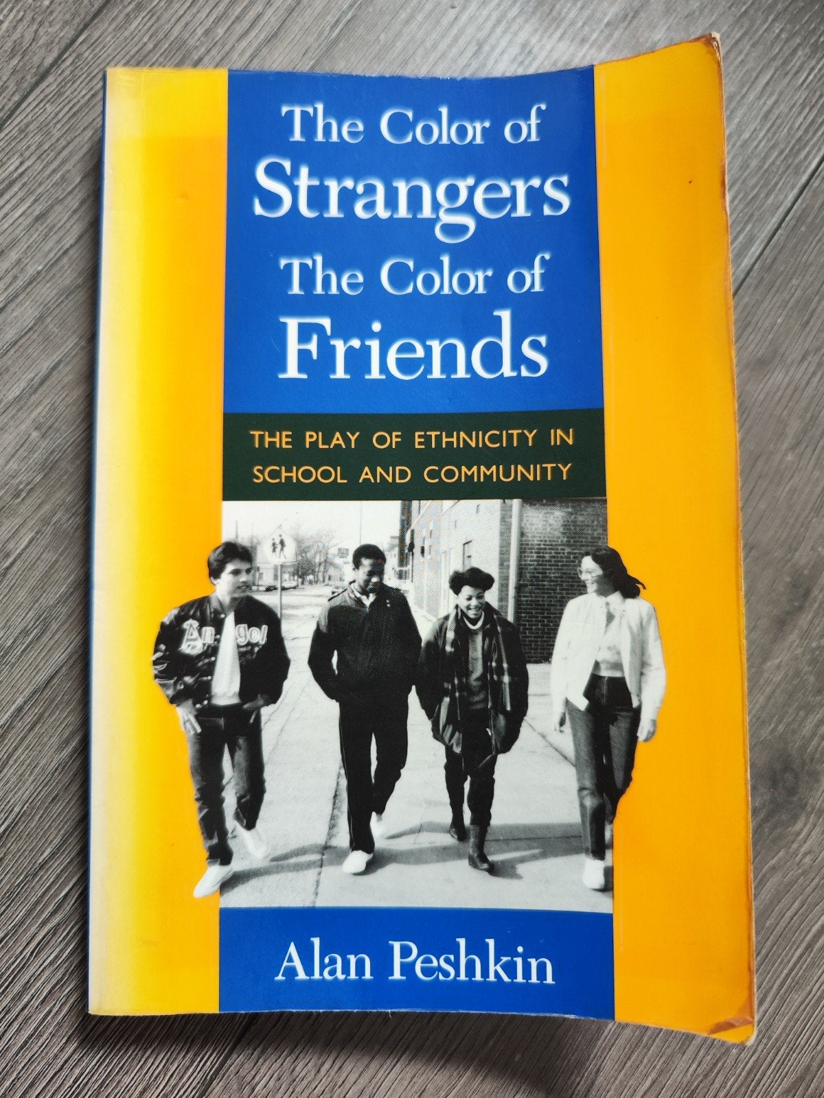 The Color of Strangers, The Color of Friends – Alan Peshkin, Boeken, Ophalen of Verzenden, Beta, Gelezen