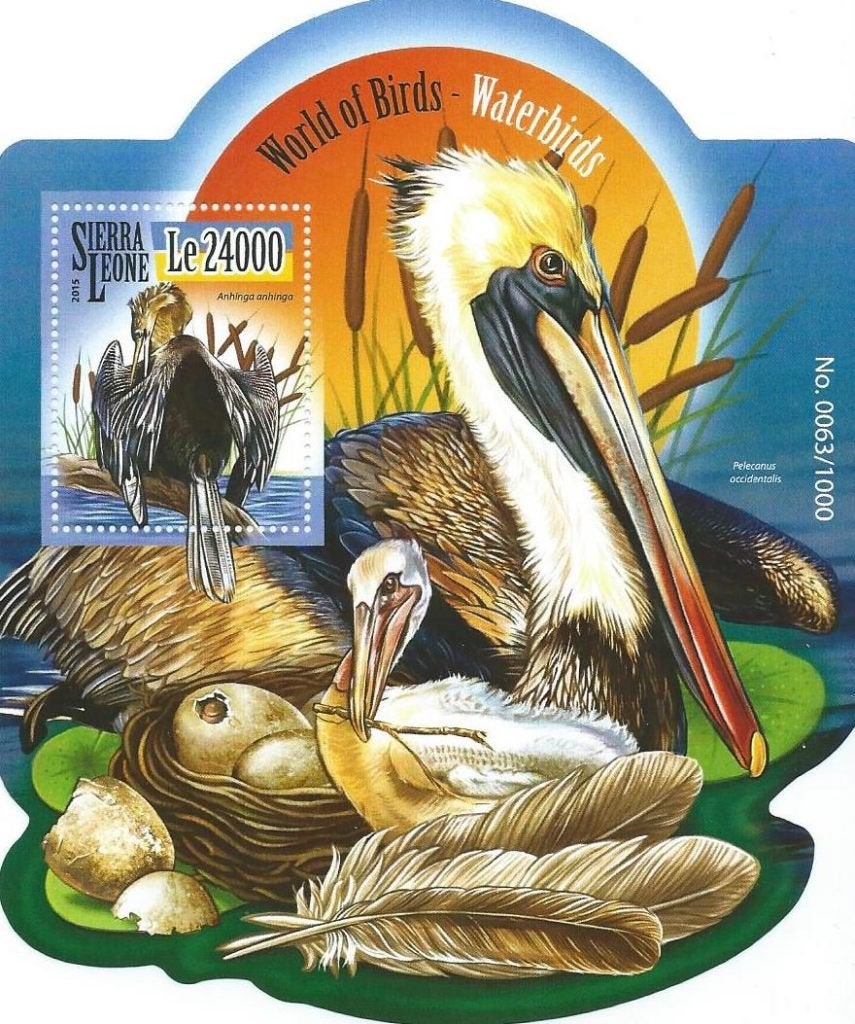 Vogels - Sierra Leone - Mi blok 846 - Postfris, Ophalen of Verzenden, Postfris, Dier of Natuur