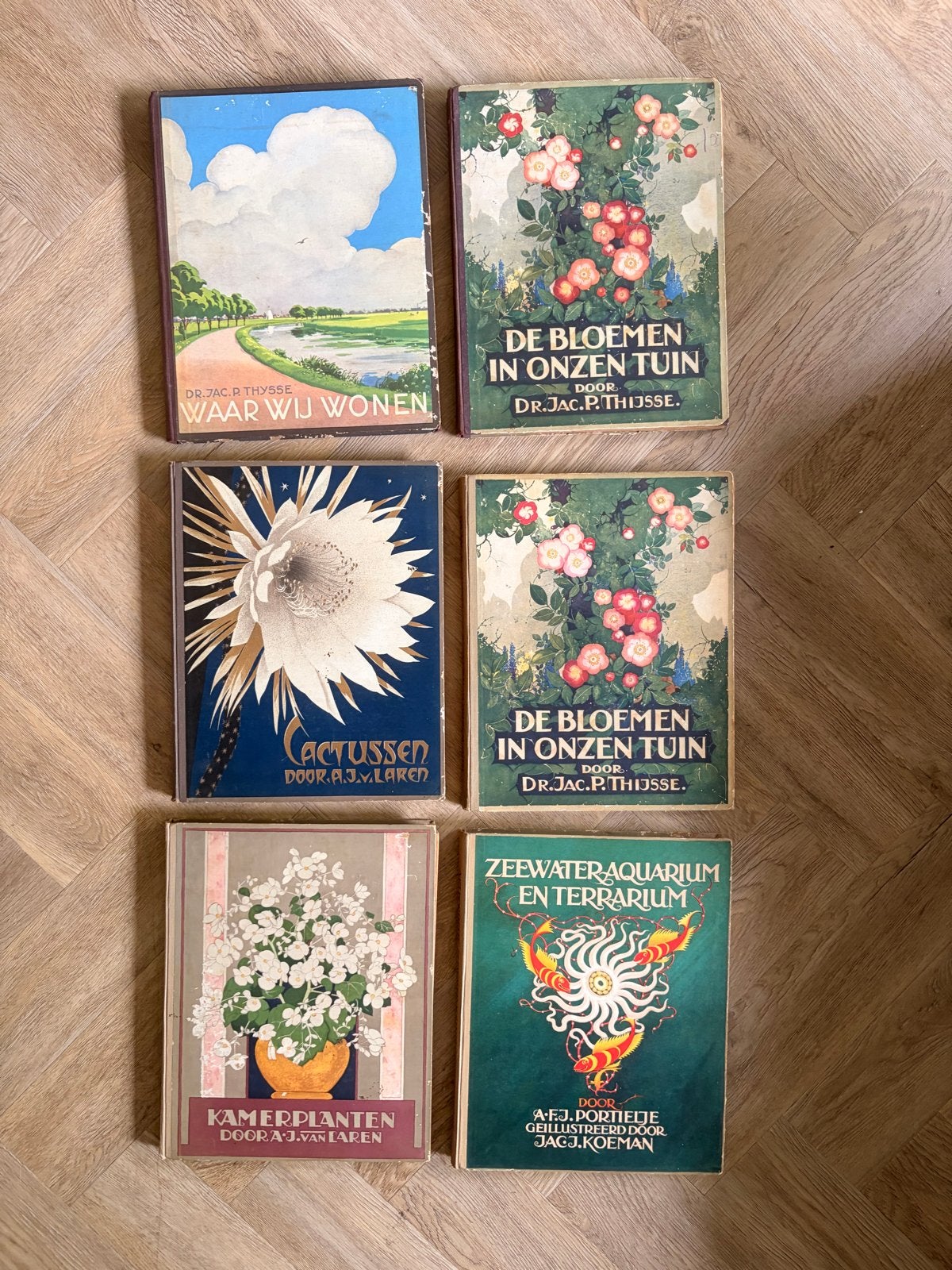 Vintage boeken over natuur, planten en aquaria, Ophalen of Verzenden, Gelezen, Natuur algemeen