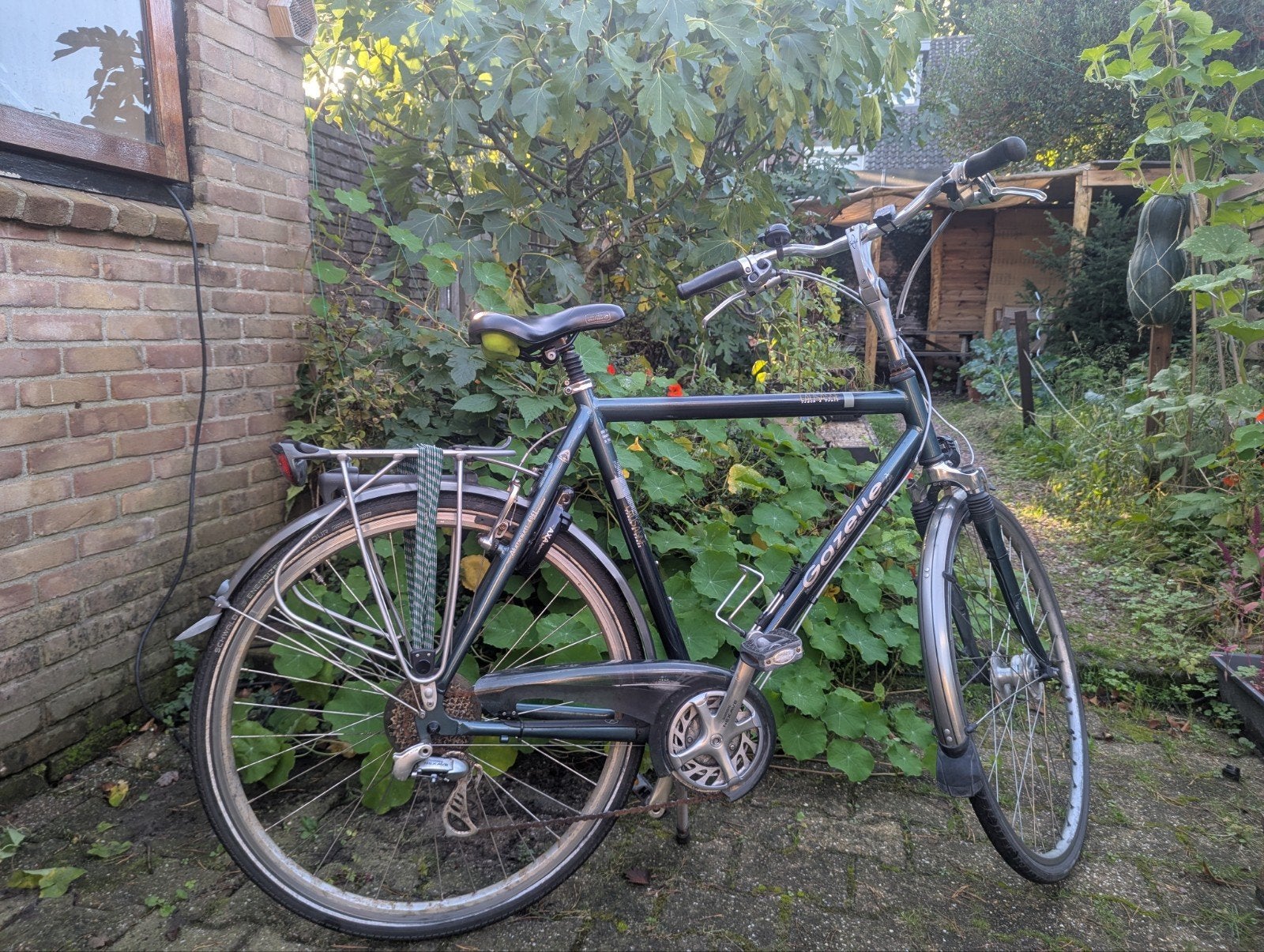 Gazelle tourfiets, maat 61, Ophalen, Gebruikt, Velgrem, Versnellingen