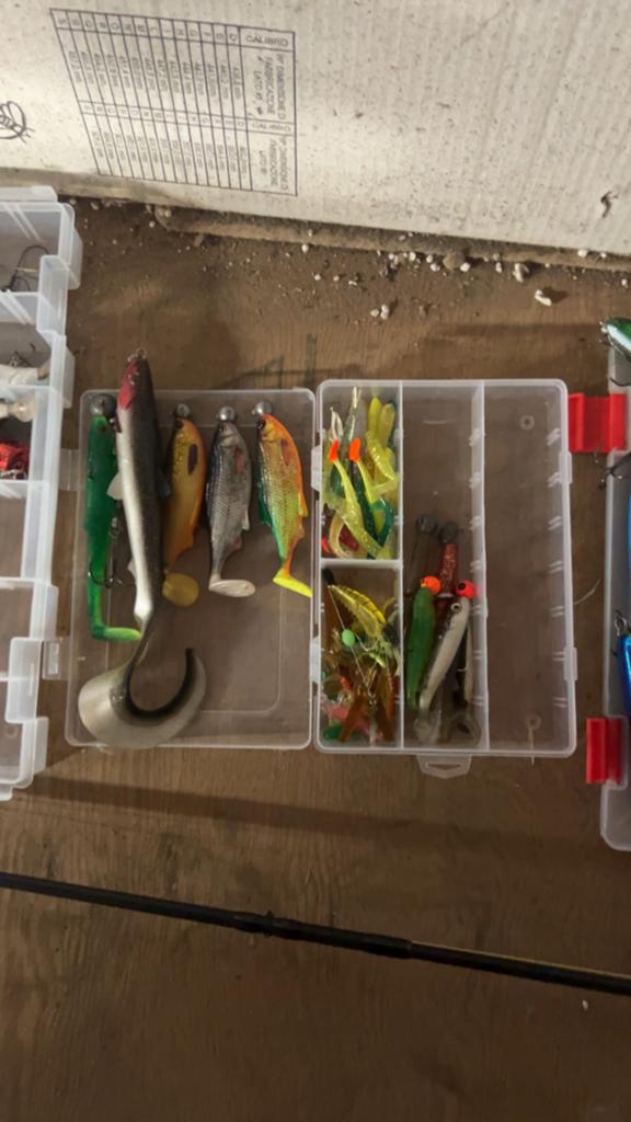 Reel en spinhengels en aasjes tekoop of teruil, Watersport en Boten, Ophalen