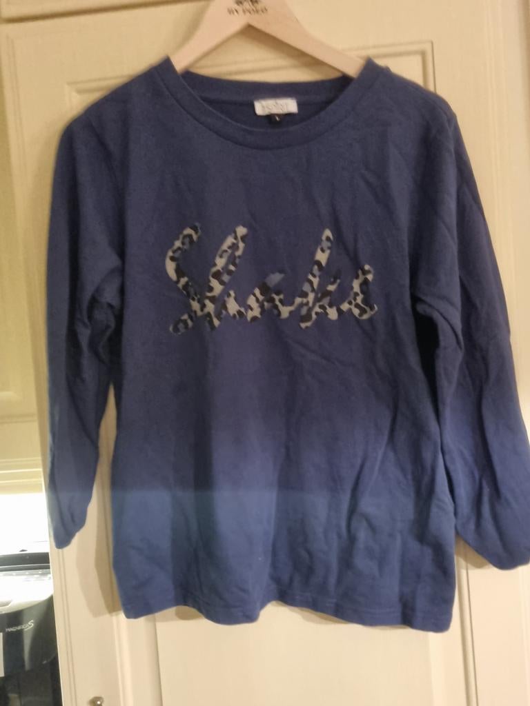 Mooie blauwe spirit trui maat l 40, Kleding | Dames, Ophalen of Verzenden, Zo goed als nieuw, Maat 38/40 (M), Blauw