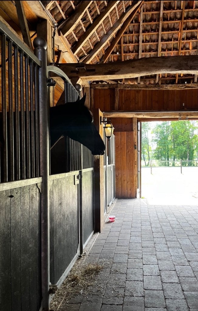 Vakantiestalling voor paarden, Weidegang, 2 of 3 paarden of pony's