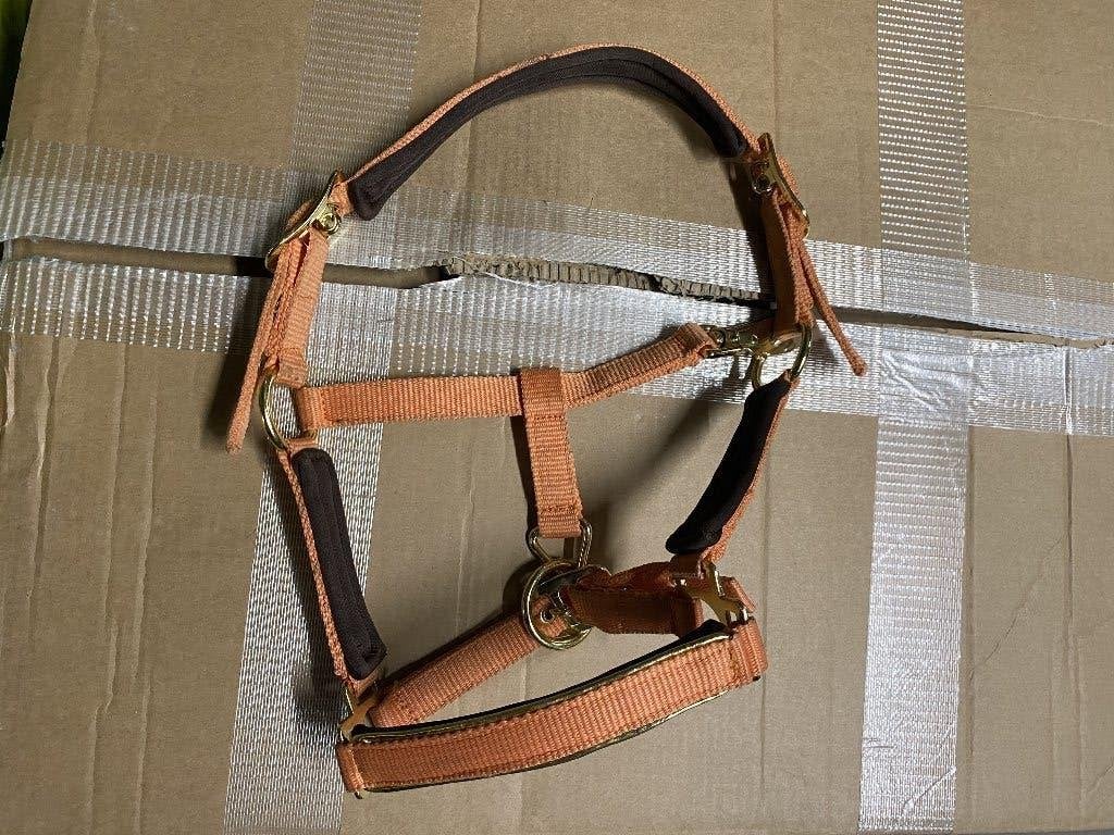 Harry's Horse veulenhalster, Dieren en Toebehoren, Paarden en Pony's | Hoofdstellen en Tuigage, Overige disciplines, Harry's Horse