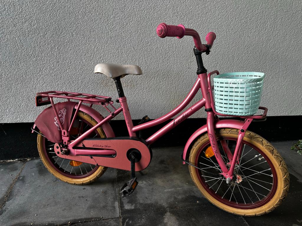 Roze kinderfiets 18 inch met zijwieltjes en mandje, Ophalen, Terugtraprem, Zijwieltjes, 16 tot 20 inch