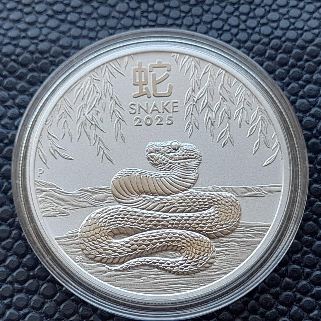 2025 Lunar III Snake 1 oz zilver, Ophalen of Verzenden, Zilver