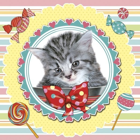 servetten (5x) kat poes kitten hobby decoupage, Dieren, Nieuw, Meerkleurig, Ophalen of Verzenden