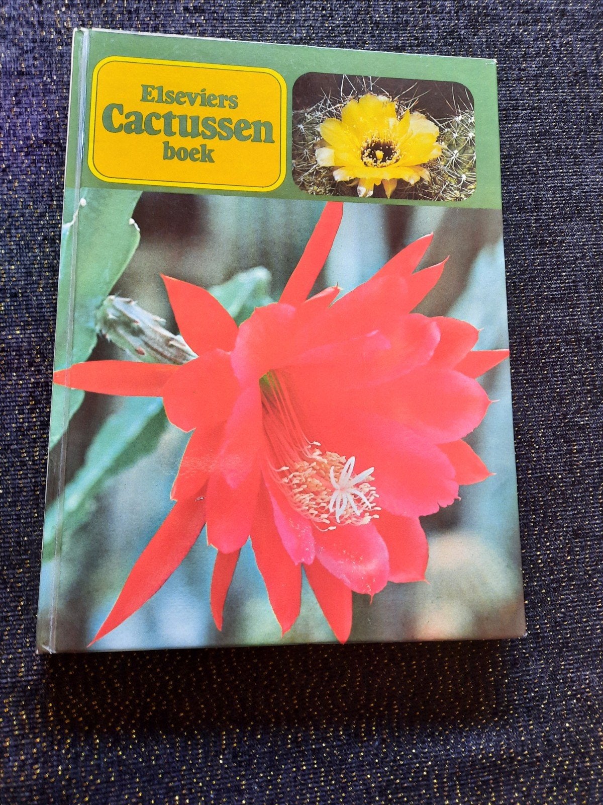 Elseviers Cactussen boek - Hardcover in nieuwstaat, Ophalen of Verzenden, Zo goed als nieuw, Kamerplanten