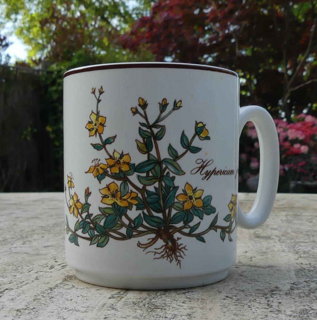 BOTANICA Villeroy & Boch Mokken Deksel Dozen + Kommen K + S, Nieuw, Ophalen of Verzenden, Wedgwood, Porselein