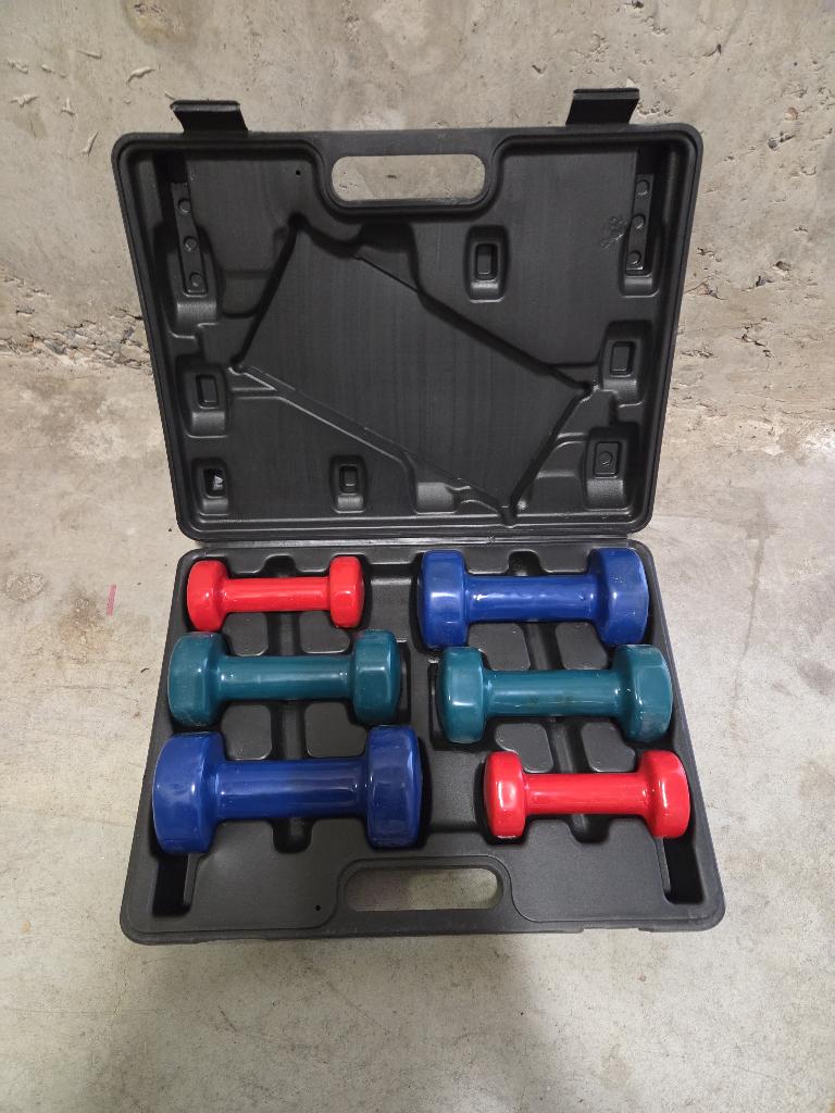 Fitness dumbbells 1,2 en 3 kg, Sport en Fitness, Fitnessmaterialen, Ophalen, Zo goed als nieuw, Benen, Dumbbell
