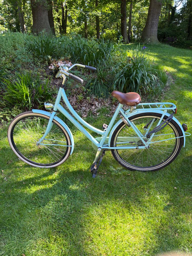 Mooie lichtblauwe damesfiets met lage instap, Overige merken, Terugtraprem, Ophalen of Verzenden, 53 tot 56 cm