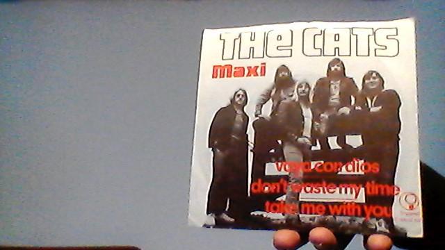 the cats jukebox single vaya con dios, Cd's en Dvd's, Vinyl Singles, Ophalen of Verzenden, Zo goed als nieuw, Pop, Single