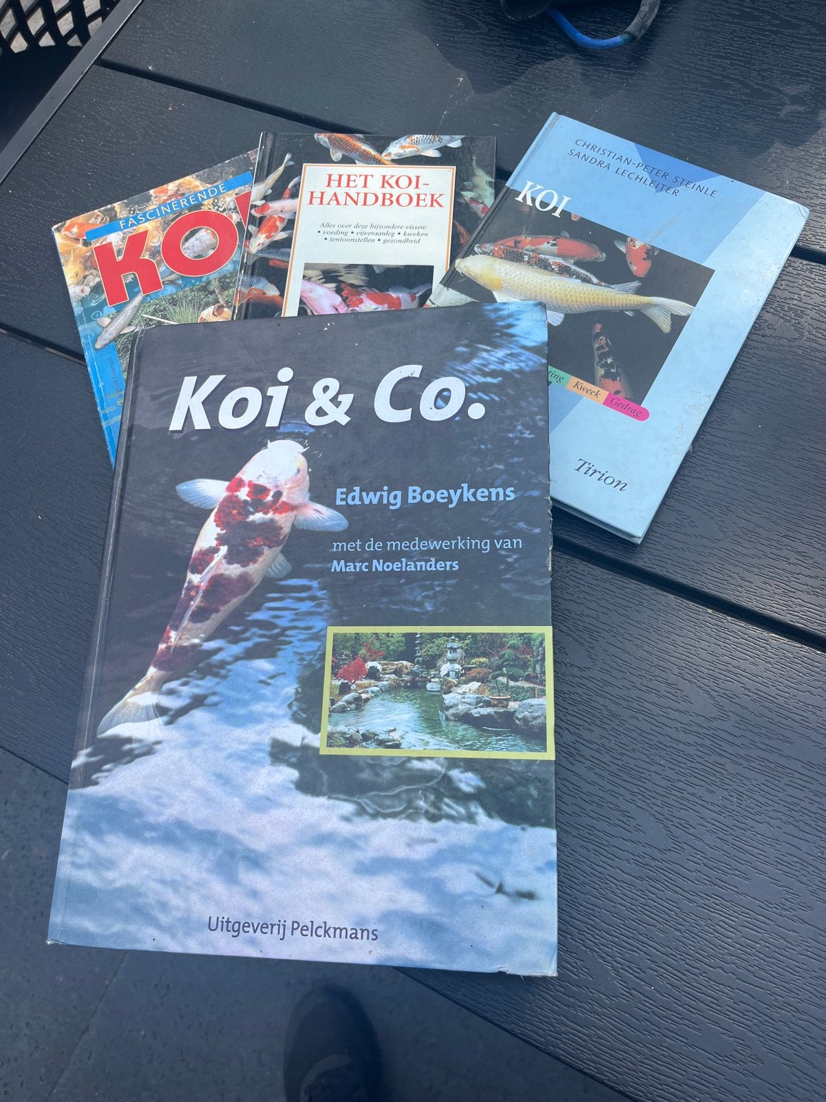 4 Koi handboeken: Alles over Koi karpers, Ophalen of Verzenden