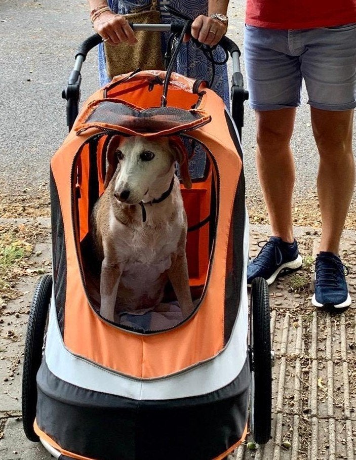 Hondenfietskar / Hondenbuggy - Oranje, Ophalen, Gebruikt, Hondenkar