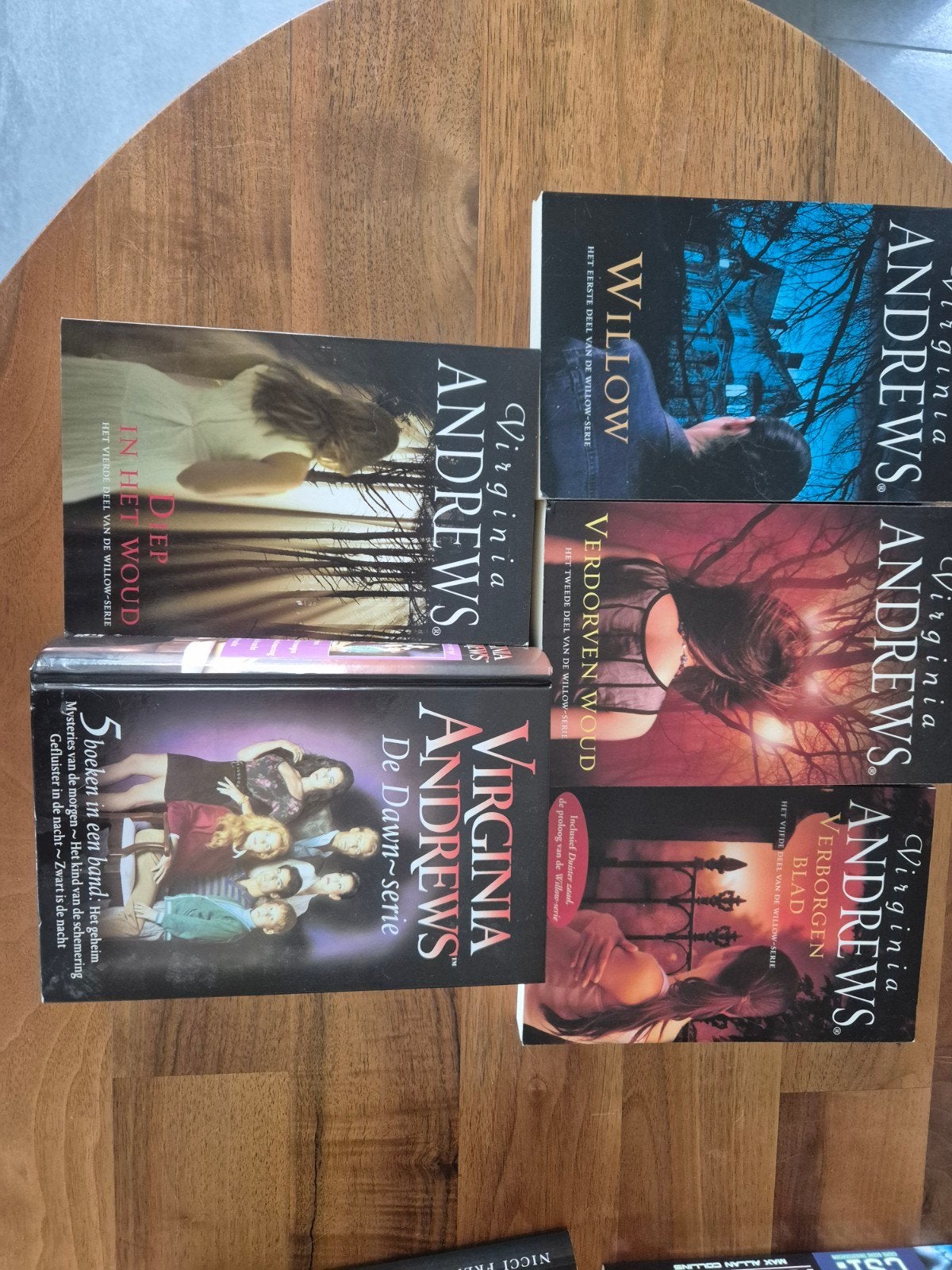 Virginia Andrews boeken: Willow-serie en De Dawn-serie, Boeken, Ophalen of Verzenden, Gelezen, Virginia Andrews