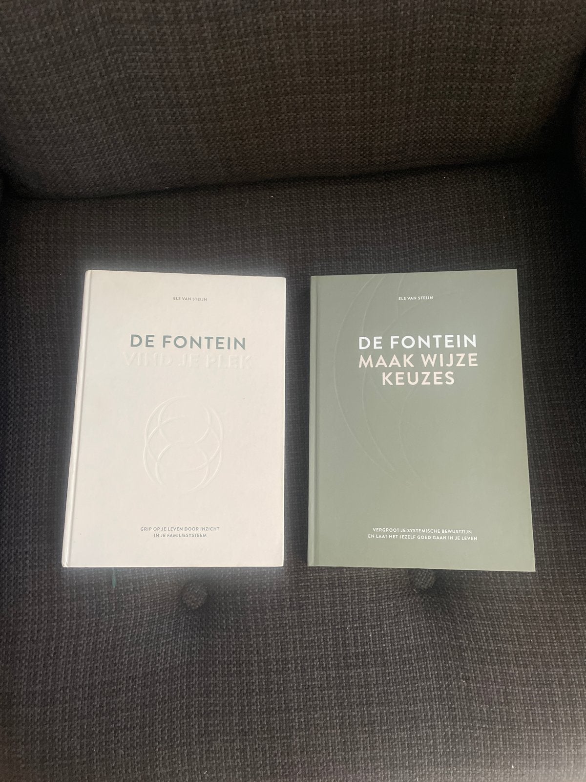 De Fontein deel 1 & 2 - Els van Steijn, Ophalen of Verzenden, Zo goed als nieuw