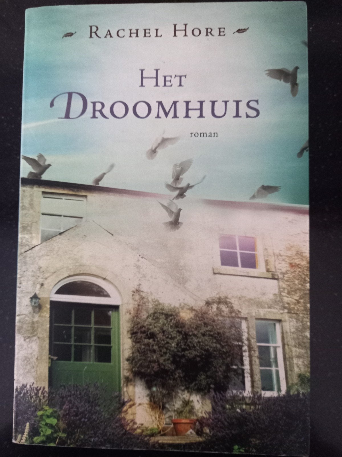 Rachel Hore - Het droomhuis, Ophalen of Verzenden, Zo goed als nieuw, Rachel Hore