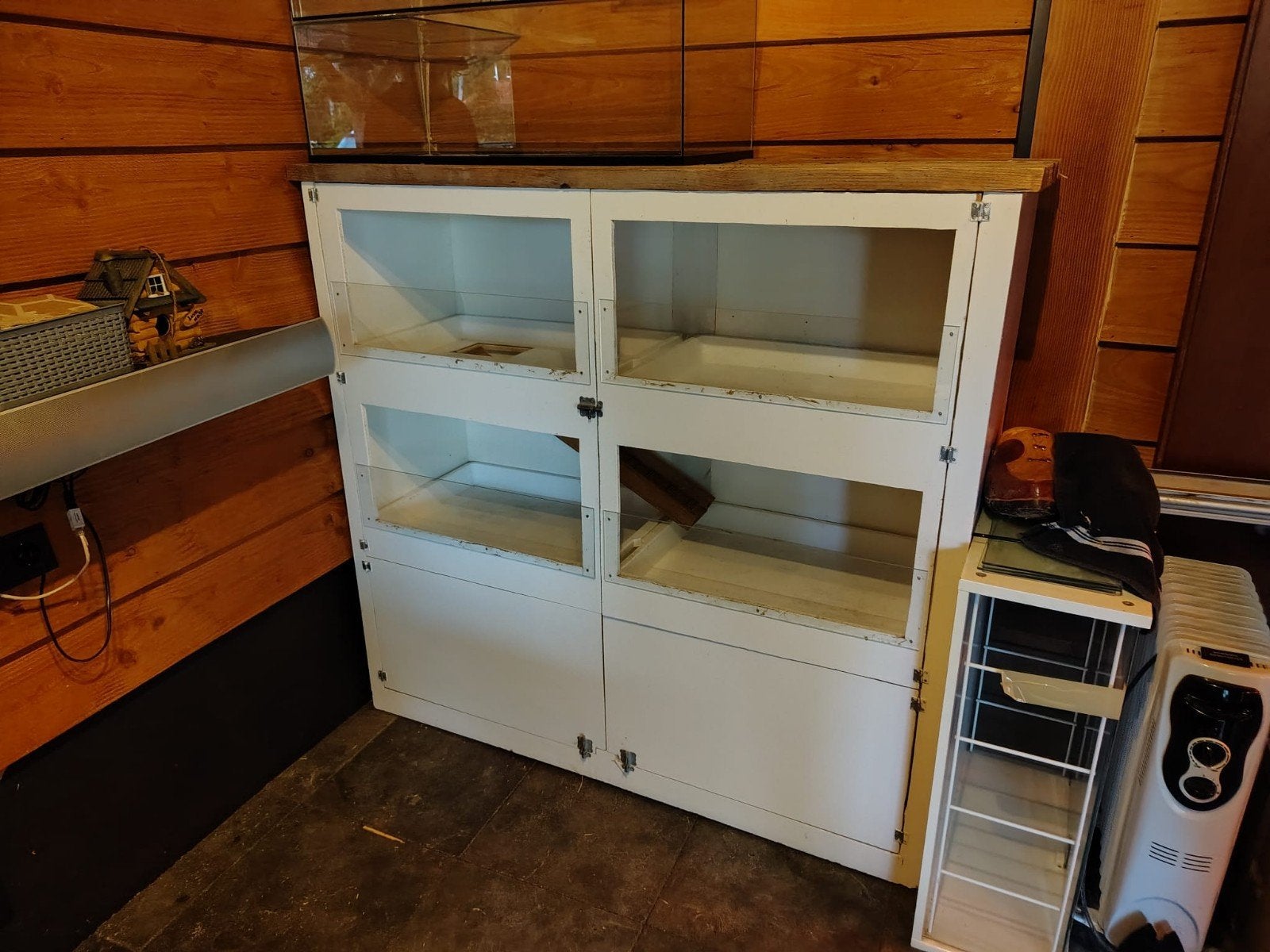Cavia flat GRATIS, Ophalen, 25 tot 50 cm, Minder dan 50 cm