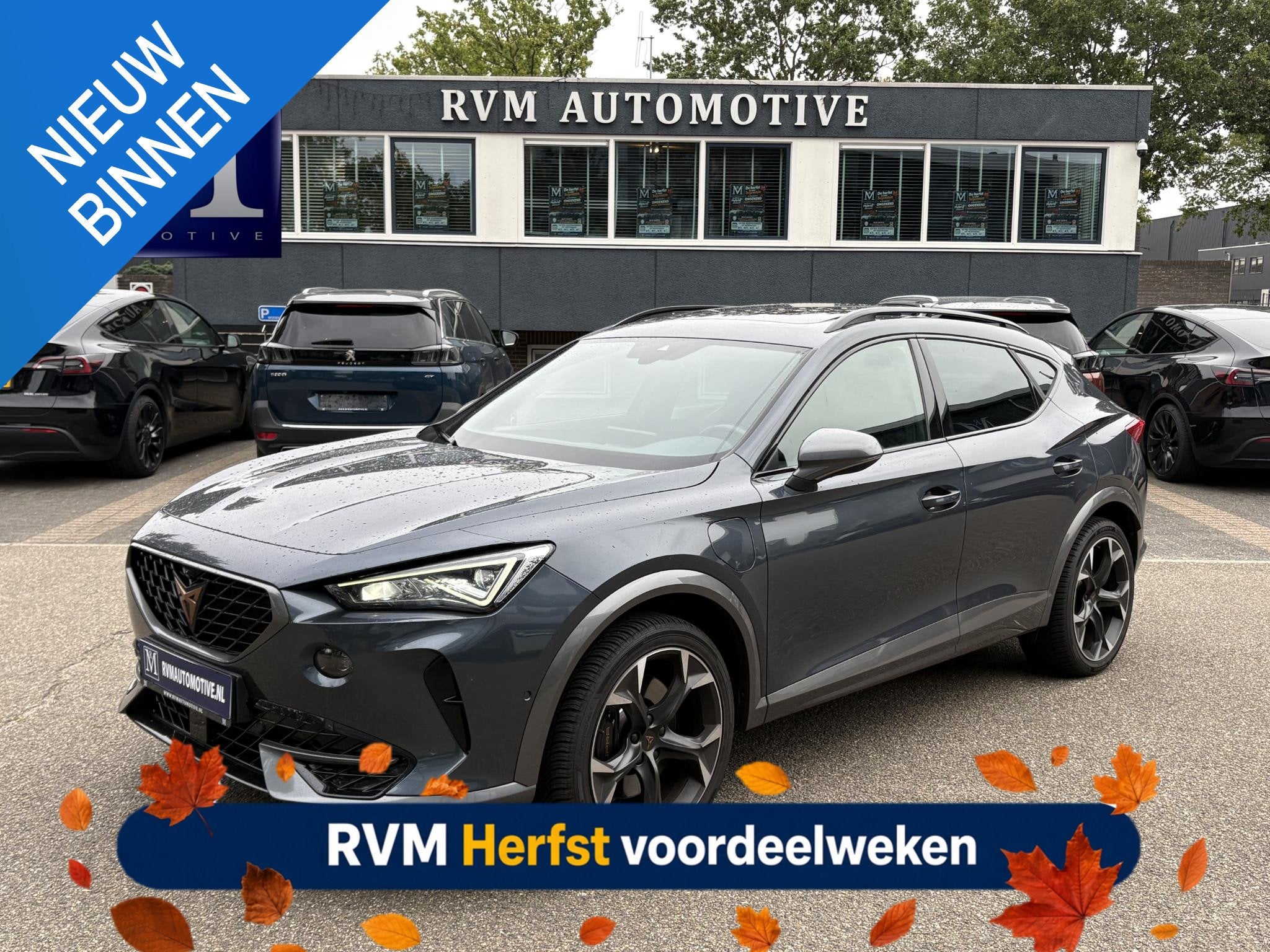 CUPRA Formentor 1.4 e-Hybrid VZ Performance VAN: € 32.900,, Dealer onderhouden, Stof, Gebruikt, 4 cilinders