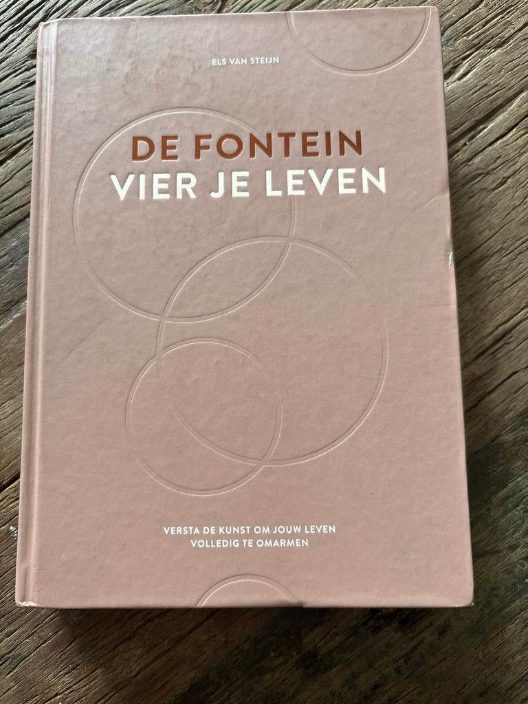 Els van Steijn - De fontein, vier je leven, Boeken, Ophalen of Verzenden, Els van Steijn, Ontwikkelingspsychologie, Zo goed als nieuw