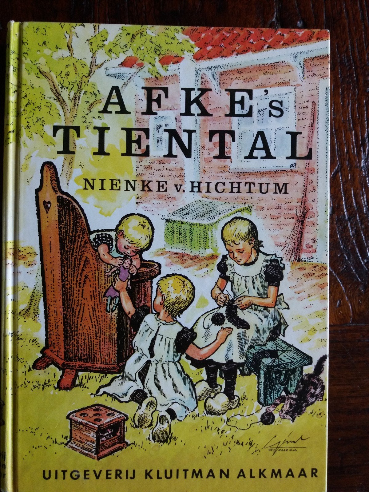 Afke's Tiental - Nienke van Hichtum, Ophalen, Gelezen