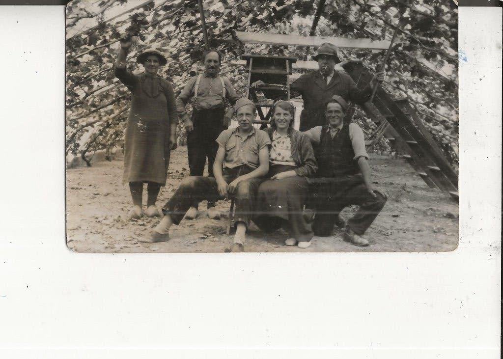 Westland onbekend Tuinders in de druivenkas Fotokaart, Ophalen of Verzenden, Voor 1920, Ongelopen, Zuid-Holland